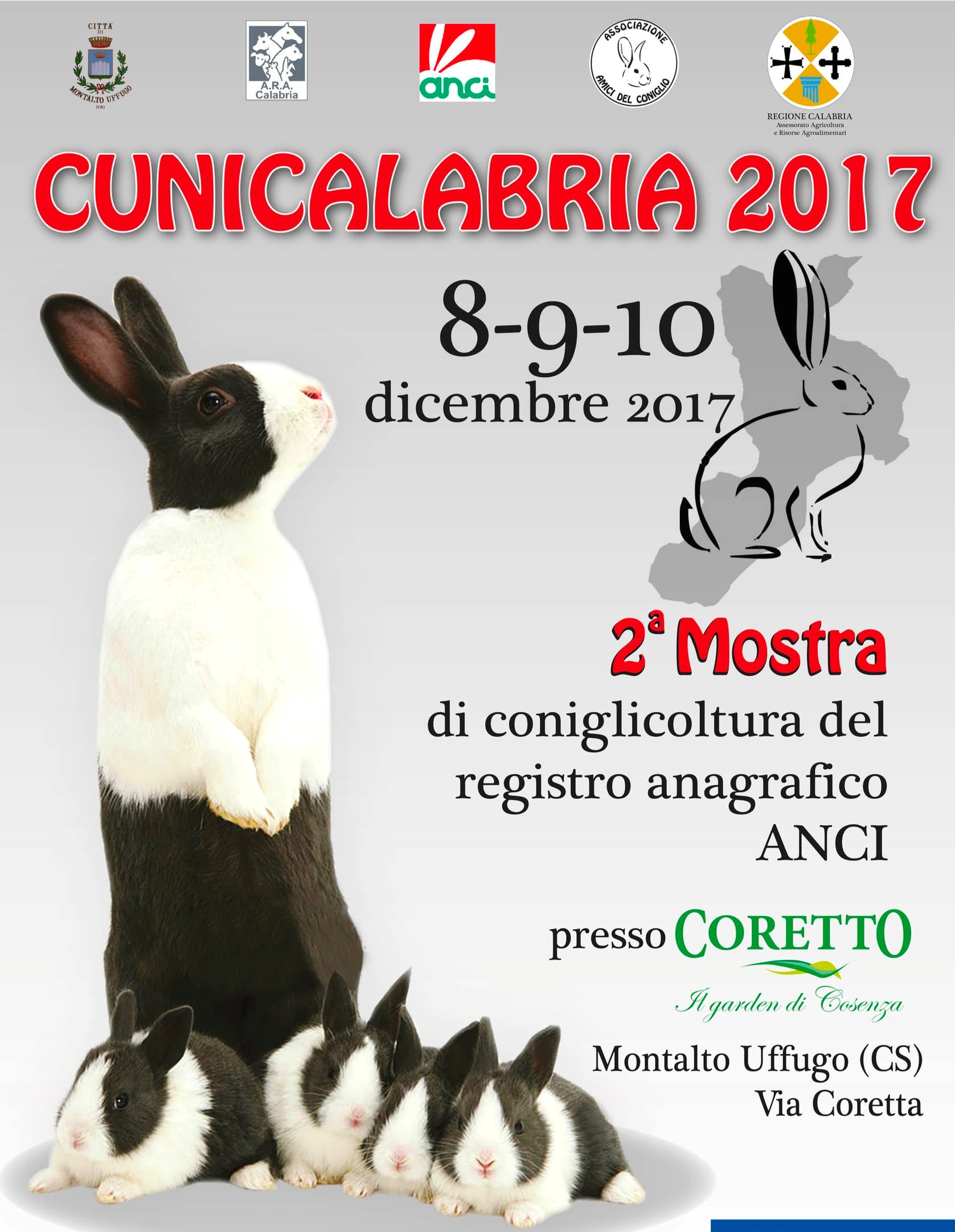 locandina CUNICALABRIA 2017