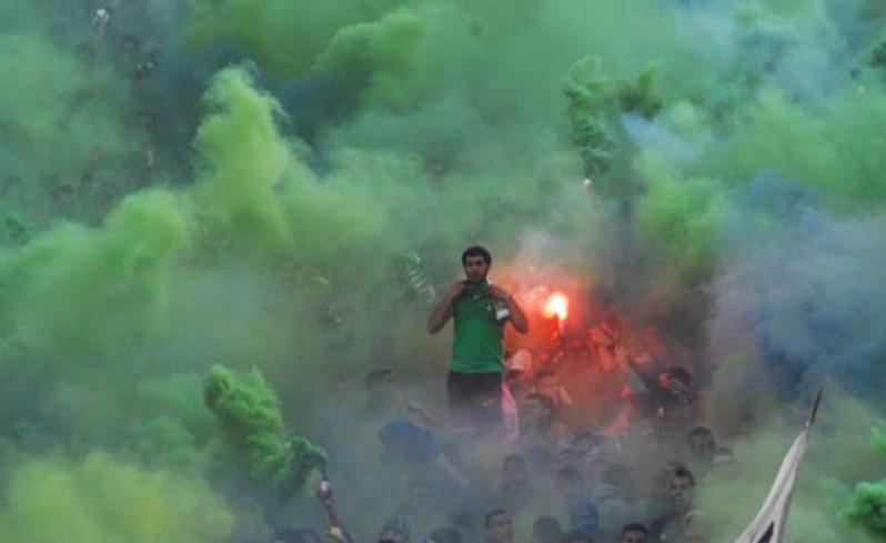tifosi