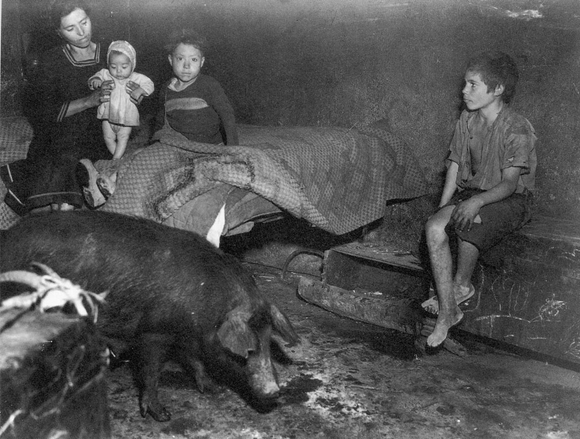 Africo1948