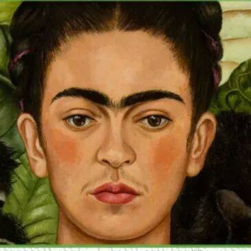immagine di frida
