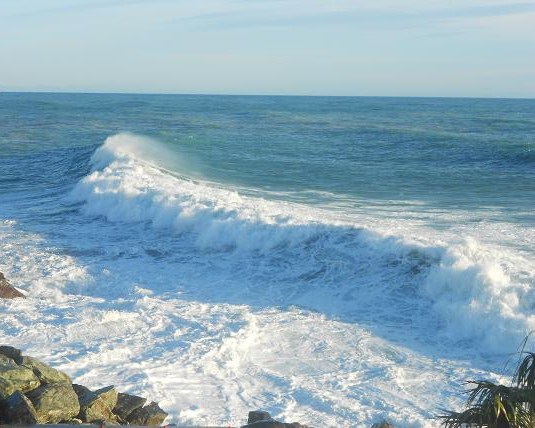 mare