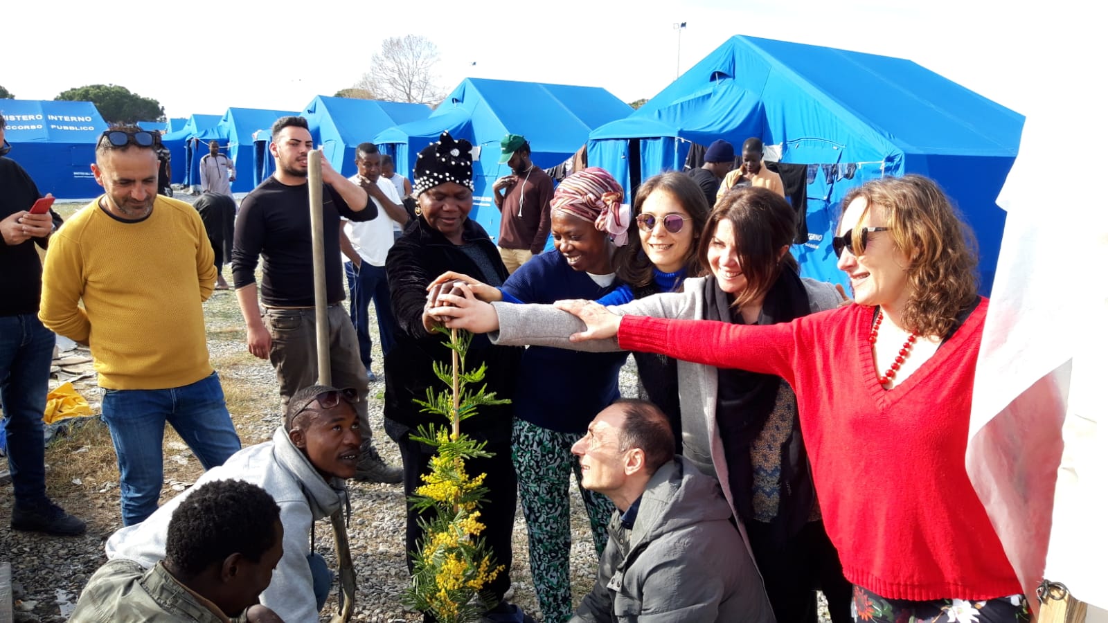 Piantumazione albero di mimosa tendopoli