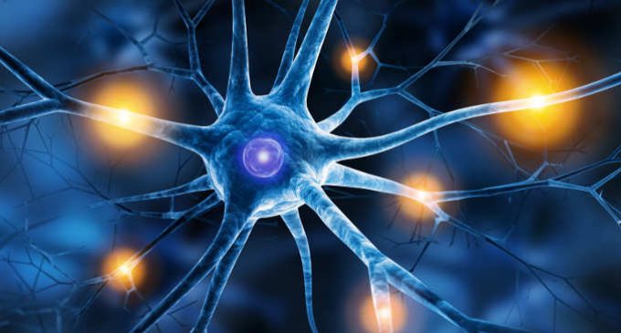 neuro