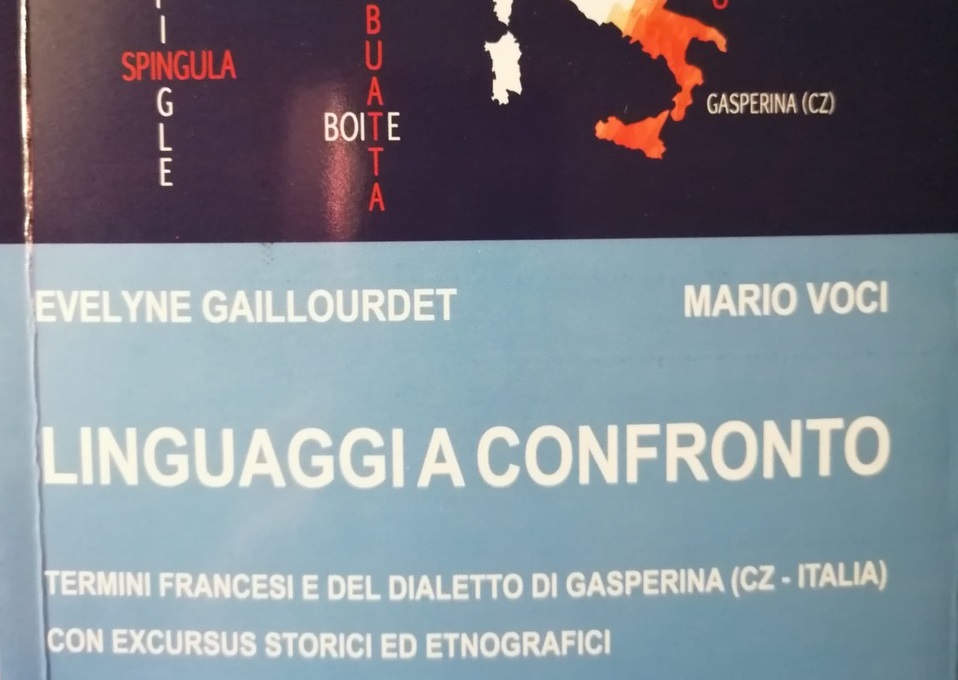 gasperina   Copia