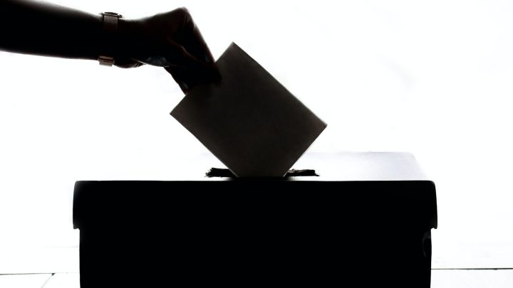 voto